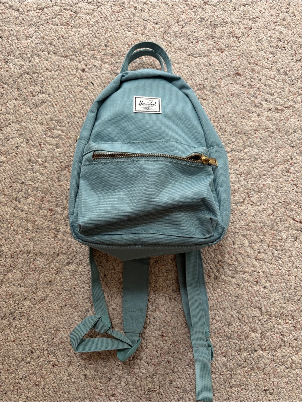 Herschel Supply Company Small Backpack in Light Teal with Gold Hardware